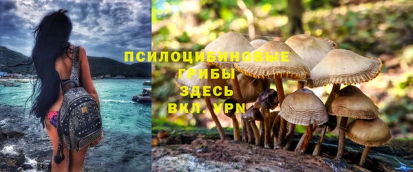 тгк Володарск