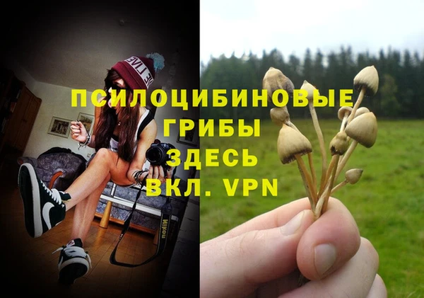 мдма Волоколамск